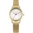 Ladies  Watch Daisy Dixon DD069GM (Ø 26 mm) Supply