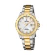 Ladies  Watch Festina F20504 2 For Discount