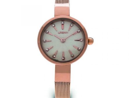 Ladies  Watch Urban ZU013L Online now