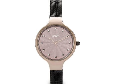 Ladies  Watch Urban ZU012V Online