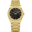 Ladies  Watch Daisy Dixon DD173GM (Ø 36 mm) Fashion