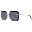 Ladies  Sunglasses Web Eyewear WE0284 5401A Hot on Sale