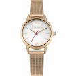 Ladies  Watch Daisy Dixon DD069RGM (Ø 26 mm) Online Hot Sale