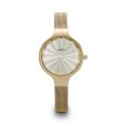 Ladies  Watch Urban ZU012B Sale