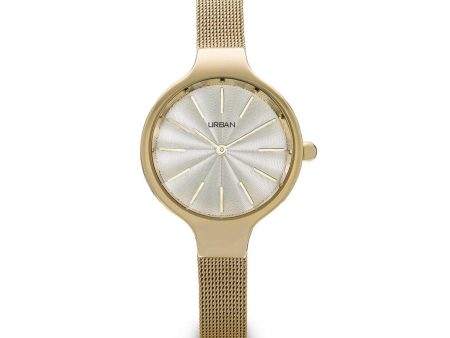 Ladies  Watch Urban ZU012B Sale