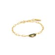 Ladies  Bracelet Ania Haie B031-01G-G 19 cm Discount