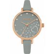 Ladies  Watch Daisy Dixon DD083ERG (Ø 36 mm) For Discount