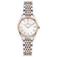 Ladies  Watch Philip Watch R8253217507 Online now