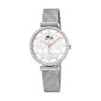 Ladies  Watch Lotus 18709 1 Sale