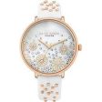 Ladies  Watch Daisy Dixon DD111WRG (Ø 38 mm) Supply