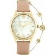 Ladies  Watch Daisy Dixon DD104PG (Ø 36 mm) Online Hot Sale