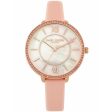 Ladies  Watch Daisy Dixon DD088PRG (Ø 36 mm) Fashion