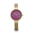 Ladies  Watch Urban ZU012F Supply