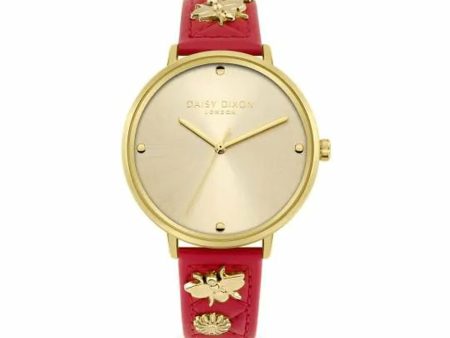 Ladies  Watch Daisy Dixon DD133PG (Ø 38 mm) For Cheap