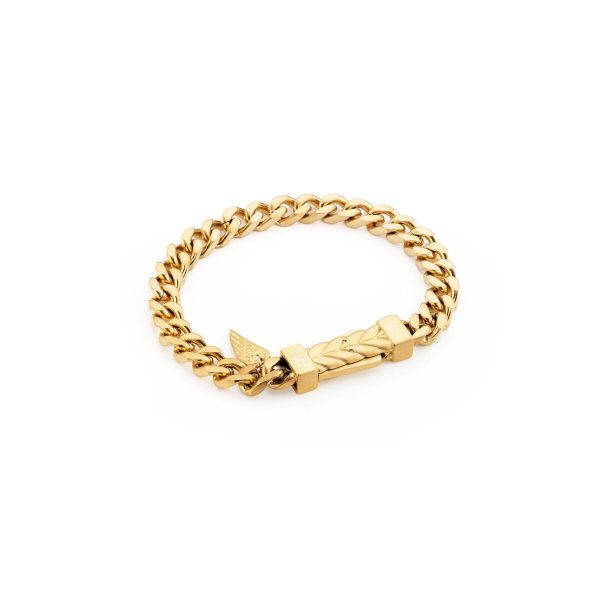 Ladies  Bracelet AN Jewels AA.P256LG on Sale