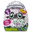 Hatchimals CollEGGtibles Season 3 - 1pack For Discount